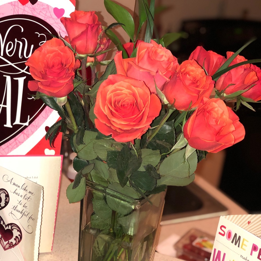 Meet your Posher, Kelsey